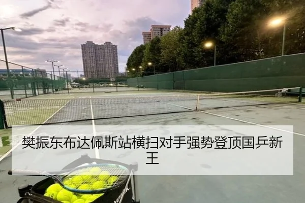 樊振东布达佩斯站横扫对手强势登顶国乒新王