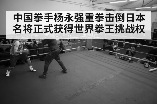 中国拳手杨永强重拳击倒日本名将正式获得世界拳王挑战权