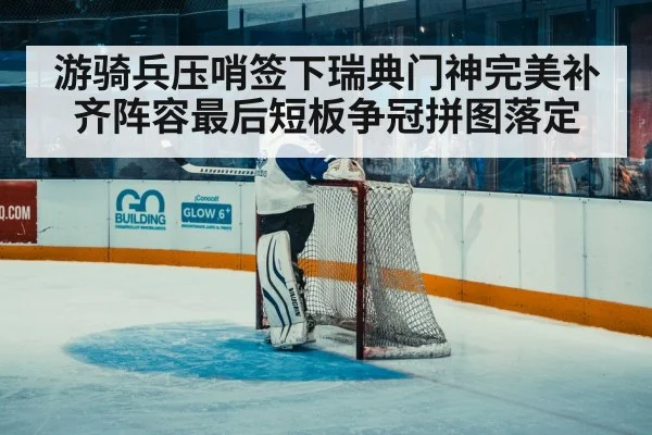 游骑兵压哨签下瑞典门神完美补齐阵容最后短板争冠拼图落定