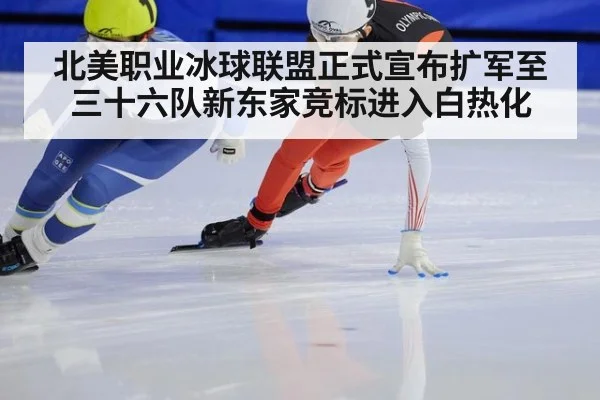 北美职业冰球联盟正式宣布扩军至三十六队新东家竞标进入白热化